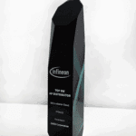 Top Business Win AP Distributor (All Customer Class) FY24/25